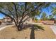 Spacious backyard features mature trees, a putting green, fire pit and patio seating at 250 Aspen Bay Ln, Henderson, NV 89012