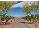 Picturesque street view showcasing a well-maintained pathway lined with trees and landscaping in a residential neighborhood at 694 Last Dance Pl, Henderson, NV 89011