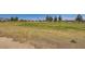 Scenic view of the golf course with lush green grass and mature trees in the background at 7720 Fruit Dove St, North Las Vegas, NV 89084
