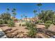The community pool is surrounded by lush trees, palms, lounge chairs and desert landscaping at 7900 Ryandale Cir # 201, Las Vegas, NV 89145