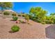 Low-maintenance backyard featuring desert landscaping, offering a serene and water-wise outdoor space at 2539 Stardust Valley Dr, Henderson, NV 89044