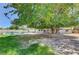 Expansive backyard featuring a large tree providing shade, and a sparkling pool for outdoor enjoyment and relaxation at 4012 Vegas Dr, Las Vegas, NV 89108