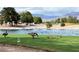 Scenic pond view featuring geese and goslings enjoying the waterfront at 5436 Red Sun Dr, Las Vegas, NV 89149