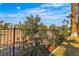 Lush backyard with a wrought iron fence and mature landscaping at 8848 Rainbow Ridge Dr, Las Vegas, NV 89117
