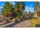 Landscaped backyard with seating area and mature palm trees at 8848 Rainbow Ridge Dr, Las Vegas, NV 89117