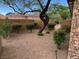 Landscaped backyard features mature trees and shrubs, providing a tranquil outdoor space at 1091 Casa Palermo Cir, Henderson, NV 89011