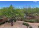 Expansive backyard with desert landscaping, patio space and privacy at 1091 Casa Palermo Cir, Henderson, NV 89011