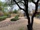 The backyard has a rock landscape design, with trees and bushes, and a patio at 1091 Casa Palermo Cir, Henderson, NV 89011