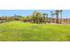 Greenbelt area with healthy grass and mature trees in the community at 1091 Casa Palermo Cir, Henderson, NV 89011