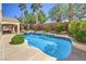 Sparkling backyard pool surrounded by a patio, palm trees, and well-maintained landscaping at 1563 Cattle Ranch Pl, Henderson, NV 89002