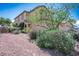Well-maintained front yard with desert landscaping and lush green shrubs near home's facade at 53 Hoke Edward Ct, North Las Vegas, NV 89031