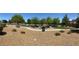 View of the community playground, featuring landscaping, picnic tables, and recreational areas at 5466 Scotch Cap Dr, Las Vegas, NV 89122