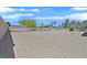 A spacious backyard featuring desert landscaping, privacy walls, and mature trees at 7925 Placid St, Las Vegas, NV 89123