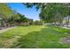 Expansive grassy common area with mature trees, perfect for community activities and relaxation at 9157 Acclamation Ct, Las Vegas, NV 89149