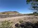View of the desert and foothills behind the house at 96 Saint Johns Wood Ave, Henderson, NV 89002