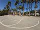Community basketball court surrounded by tall palm trees offering a scenic playing experience at 96 Saint Johns Wood Ave, Henderson, NV 89002