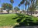 Large, well-maintained community lawn with mature trees and landscaping at 96 Saint Johns Wood Ave, Henderson, NV 89002