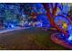 A landscaped backyard with mature trees, a hanging swing, and an outdoor living space with blue lighting at 1925 Grey Eagle St, Henderson, NV 89074