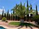 Lush backyard with manicured lawn and mature palm trees, creating a serene and private outdoor space at 2554 Braehead Ln, Henderson, NV 89044