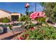 A close-up shot of roses with a pool in the background at 2554 Braehead Ln, Henderson, NV 89044