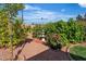 Well-manicured backyard with decorative fountain, stone ground cover, and vibrant roses at 2554 Braehead Ln, Henderson, NV 89044