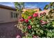 Beautiful rose bushes accent the well maintained backyard at 2554 Braehead Ln, Henderson, NV 89044