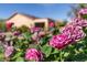 A close-up shot of roses with a house in the background at 2554 Braehead Ln, Henderson, NV 89044