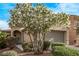 Beautiful front yard showcasing a flowering tree, lush shrubs, and a well-maintained desert landscape at 3005 Dotted Wren Ave, North Las Vegas, NV 89084