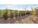 The landscaped backyard includes gravel, young trees, privacy greenery, and decorative mulch at 354 Spotted Dove St, Las Vegas, NV 89138