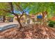 Charming single story home featuring desert landscaping, mature trees, and a private front yard gate at 9540 Eagle Valley Dr, Las Vegas, NV 89134
