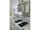 This is a close up of the kitchen with white appliances, cabinets and counters, and a dual basin sink at 2050 N Los Feliz St # 114, Las Vegas, NV 89156