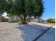 This house features easy to maintain rock landscaping with a large shade tree at 3667 Descanso St, Las Vegas, NV 89121