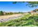 Picturesque community landscape with lush greenery and scenic mountain views at 1272 Olivia Pkwy, Henderson, NV 89011
