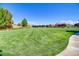 Expansive green space in a well-maintained community, perfect for recreation and relaxation at 1272 Olivia Pkwy, Henderson, NV 89011