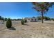 Single story home with drought resistant landscape and tree providing shade at 1450 Fern St, Pahrump, NV 89060