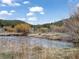 Scenic creek view surrounded by trees and brush, offering a tranquil and natural setting at 660 E Aspen Meadow Dr, Mammoth Creek, UT 84735