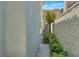 Manicured side yard with lush greenery, walkway, and view of the surrounding landscape at , Las Vegas, NV 89135