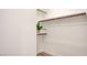Walk-in closet with shelving, and wood-style flooring at 1187 Blossom Point St # 36, Las Vegas, NV 89135