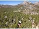 Overhead view of a forested property featuring beautiful landscaping and a mountain backdrop at 2160 Via Vita St, Mount Charleston, NV 89124