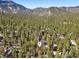 Lee Canyon cabin surrounded by forest, showcasing the serene mountain setting at 2160 Via Vita St, Mount Charleston, NV 89124