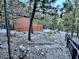 Exterior of a log cabin featuring native landscaping, mature trees, and propane tank at 2160 Via Vita St, Mount Charleston, NV 89124