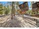 Exterior cabin with solar panels and woodpile ready for winter, nestled in a wooded area with rock landscape at 2160 Via Vita St, Mount Charleston, NV 89124