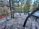 Exterior of a log cabin featuring a propane tank and surrounded by lush greenery at 2160 Via Vita St, Mount Charleston, NV 89124