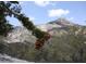 Beautiful mountain vista with pine cones in foreground at 2160 Via Vita St, Mount Charleston, NV 89124