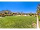 Community playground with a large green lawn and play equipment for  at 3216 Monte Luna Ave, Henderson, NV 89044