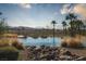 Infinity pool with rock features merges seamlessly with the serene desert landscape and mountain views at 91 Alta Cascata Pl, Henderson, NV 89011