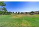 Expansive green park with mature trees and lush grass, great for outdoor activities at 11247 Villa Trentino Ct, Las Vegas, NV 89141