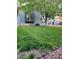Green backyard with mature tree at 3704 Blairmoor St, North Las Vegas, NV 89032