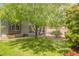 Backyard featuring a lush lawn and mature trees at 3704 Blairmoor St, North Las Vegas, NV 89032