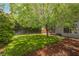Grassy backyard with mature shade tree at 3704 Blairmoor St, North Las Vegas, NV 89032